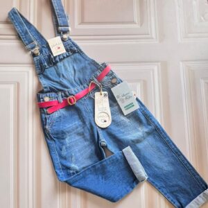 overl dennin lag t26